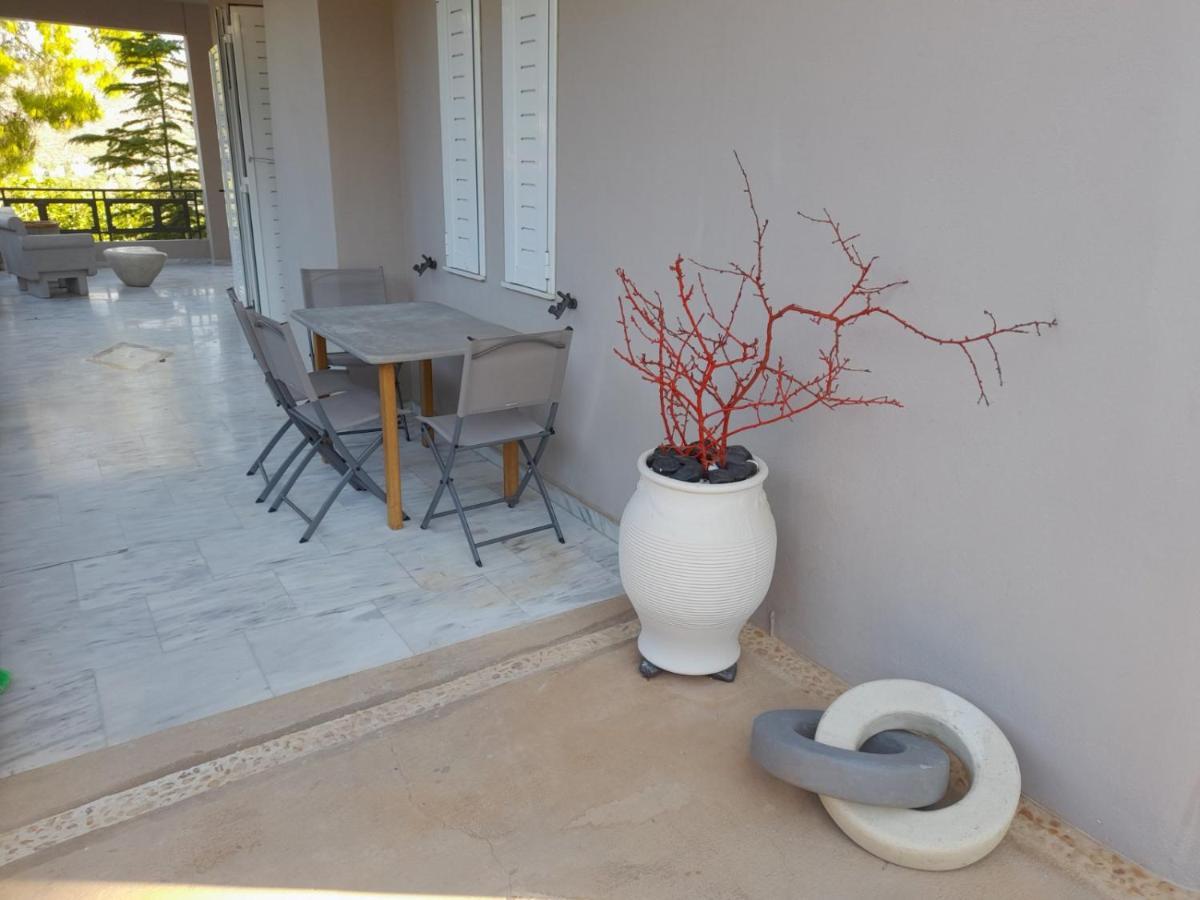 Suite With Garden Agia Marina  Exterior foto